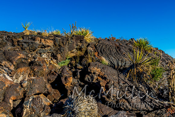 Desert Landscape in the Valley of Fires Area in New Mexico