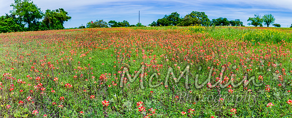 1P1A0190-Pano