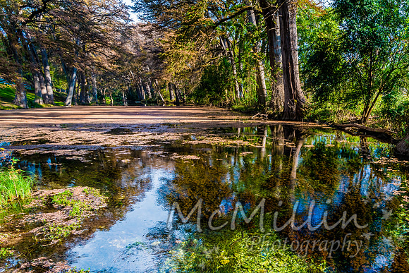 2016 Tx Fall Foliage SONY-01732