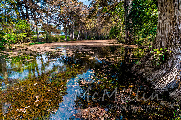 2016 Tx Fall Foliage SONY-01743