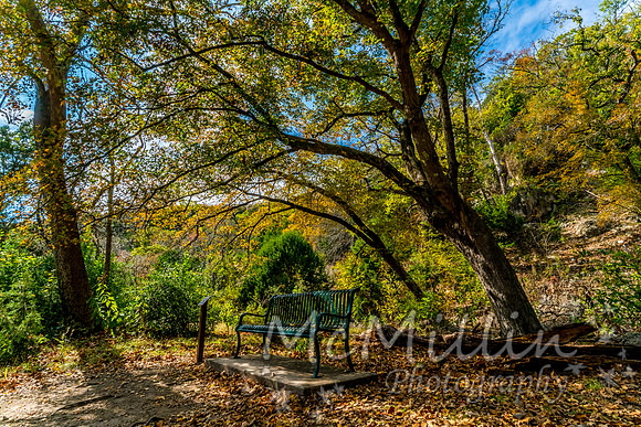 2016 Tx Fall Foliage SONY-01862