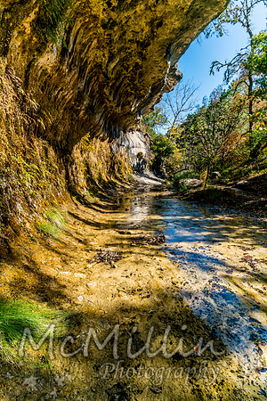 2016 Tx Fall Foliage SONY-01954