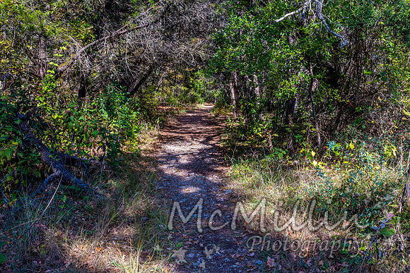 2016 Tx Fall Foliage CANON-8614