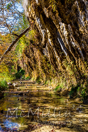 2016 Tx Fall Foliage CANON-8666