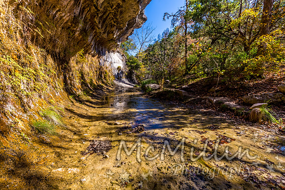 2016 Tx Fall Foliage CANON-8669