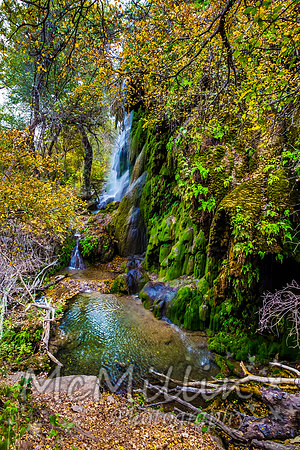 2012 Texas Hill Country-3340