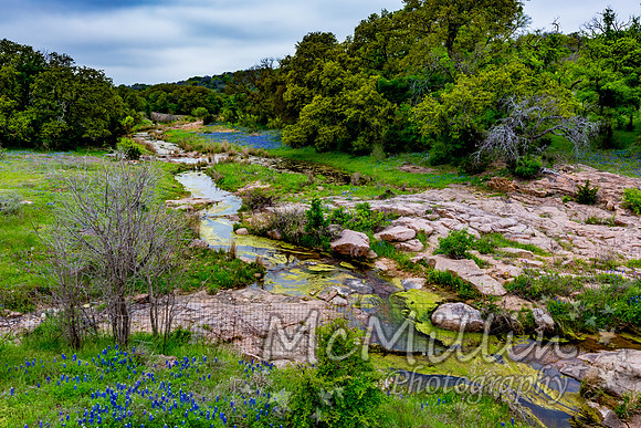 2016 Texas Flowers-7606