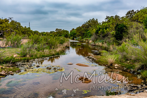 2016 Texas Flowers-7613