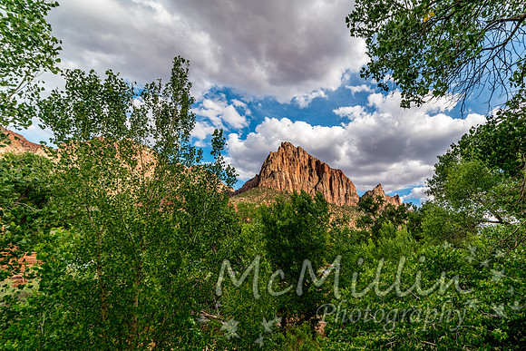 2016 Zion Bryce SonyA7RII-00100