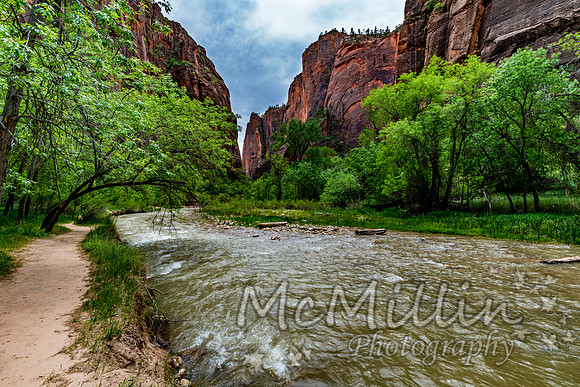 2016 Zion Bryce SonyA7RII-00378