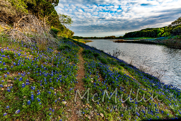 2016 Texas Flowers-7223