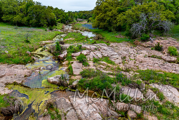 2016 Texas Flowers-7608
