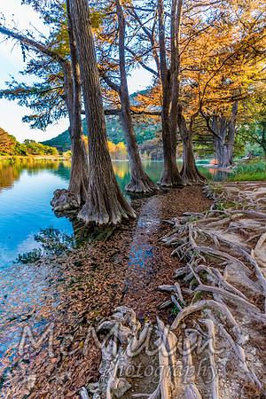 2016 Tx Fall Foliage SONY-01673