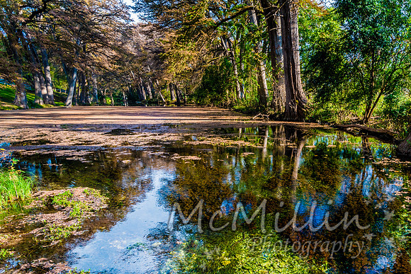 2016 Tx Fall Foliage SONY-01732