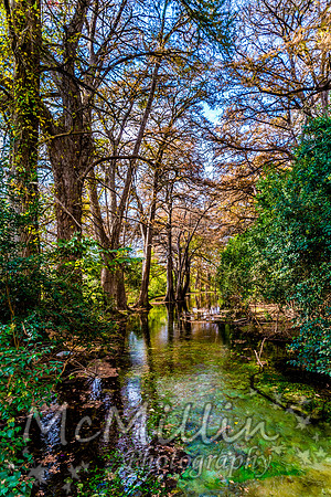 2016 Tx Fall Foliage SONY-01738