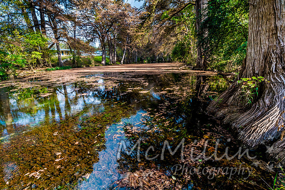 2016 Tx Fall Foliage SONY-01743